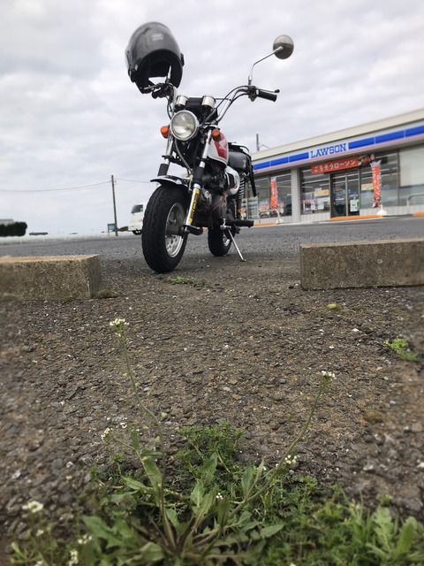 09