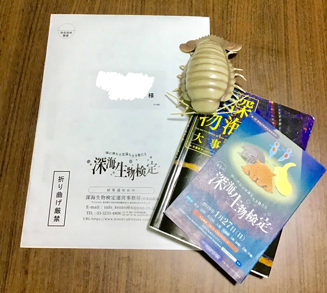 深海生物検定 結果が届きました 博物館レポと理科っぽいなにか 深海生物検定 結果が届きました 博物館レポと理科っぽいなにか
