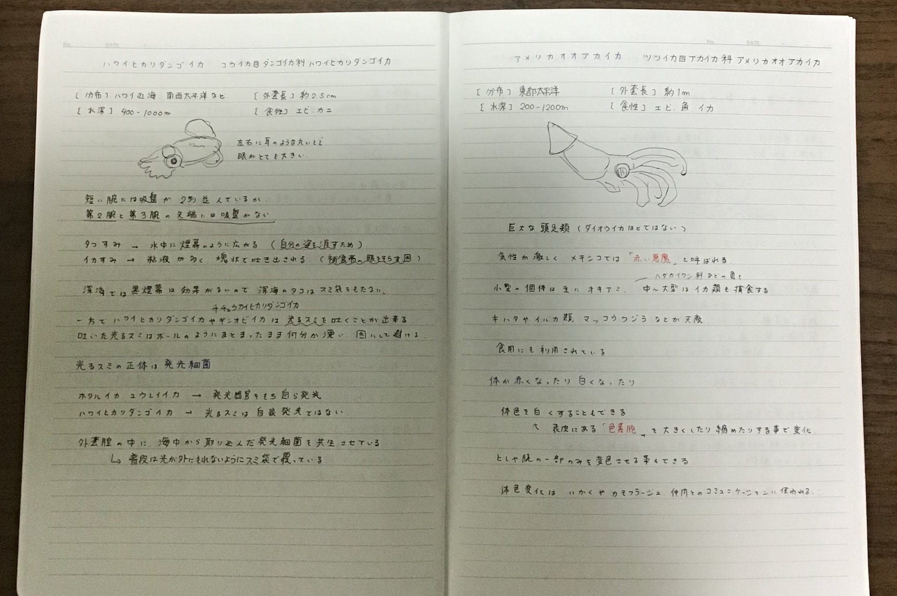 第1回深海生物検定受けてきました 博物館レポと理科っぽいなにか 第1回深海生物検定受けてきました 博物館レポと理科っぽいなにか