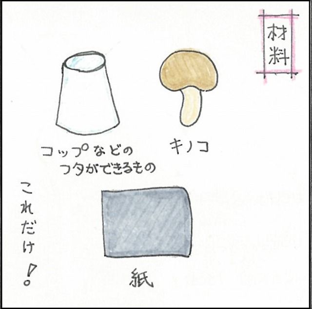 キノコの胞子紋を作ろう ｐａｒｔ２ 博物館レポと理科っぽいなにか