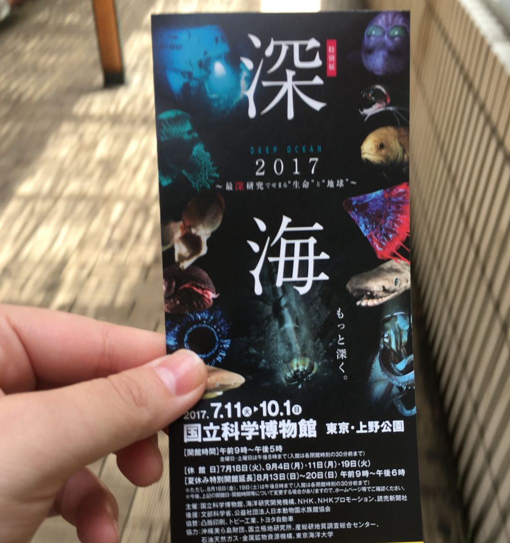 博物館レポと理科っぽいなにか 博物館レポと理科っぽいなにか