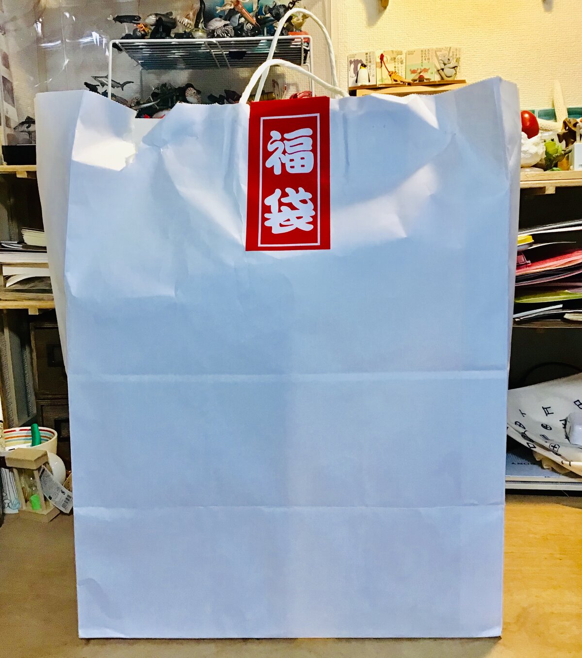 福袋 ミュージアムパーク 茨城県自然博物館 開封 博物館レポと理科っぽいなにか