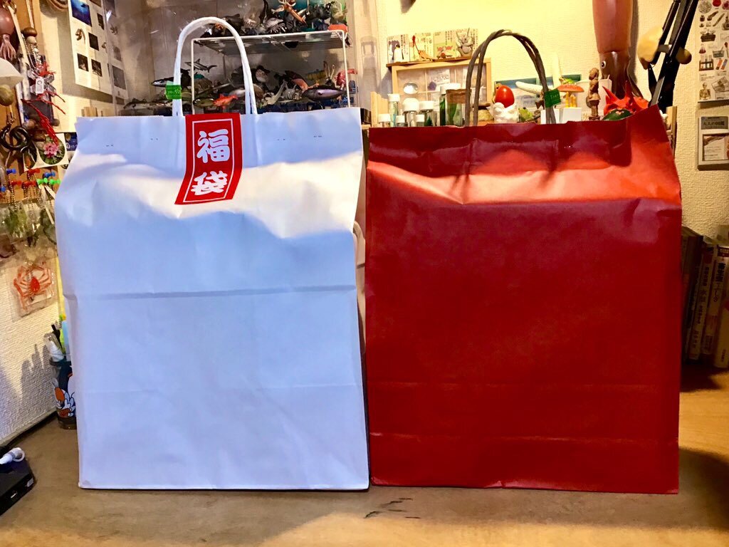 福袋 ミュージアムパーク 茨城県自然博物館 開封 博物館レポと理科っぽいなにか