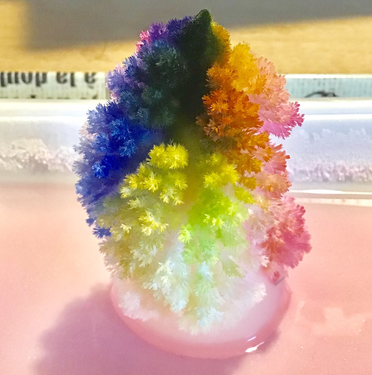 尿素で実験 ダイソー ピカちん 結晶をつくろう 博物館レポと理科っぽいなにか
