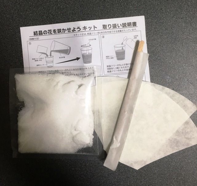 ｄａｉｓｏ ワクワク実験シリーズ 結晶の花を咲かせよう 博物館レポと理科っぽいなにか
