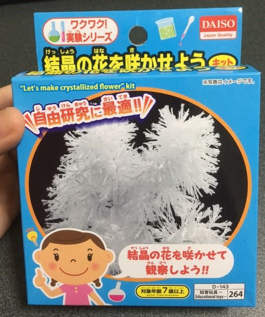 ｄａｉｓｏ ワクワク実験シリーズ 結晶の花を咲かせよう 博物館レポと理科っぽいなにか