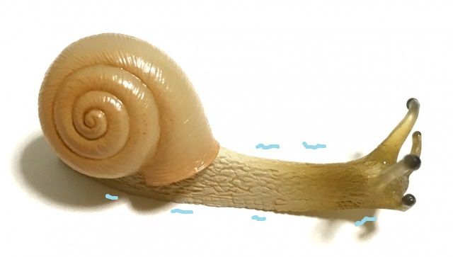 キモかわいい かたつむりとなめくじ ガチャ 博物館レポと理科っぽいなにか