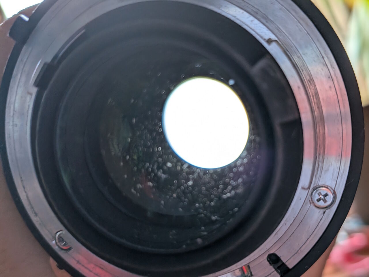 Ai Zoom Nikkor 28-85mm F3.5-4.5s : ねこめしのジャンクカメラ