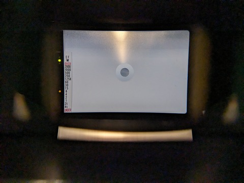 PXL_20240324_070647963