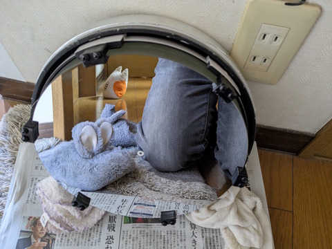 PXL_20241208_041928375