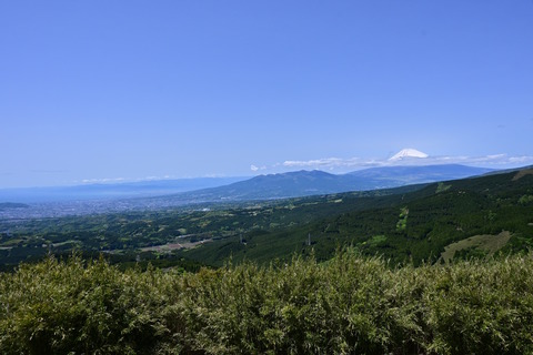 DSC_1946