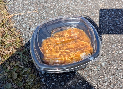 PXL_20251108_034319524