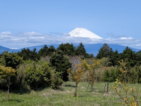 PXL_20250503_024017342