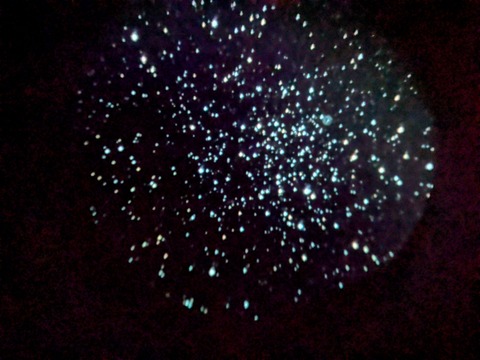 PXL_20241129_154501691.NIGHT