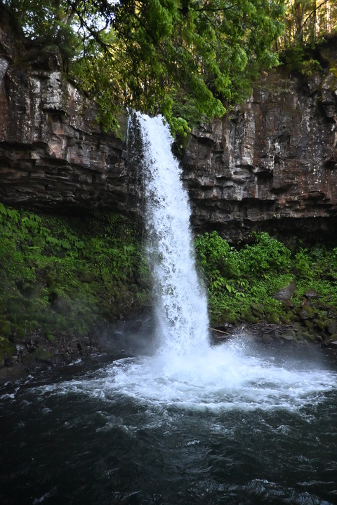 DSC_1845