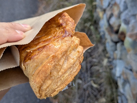 PXL_20251108_065100360