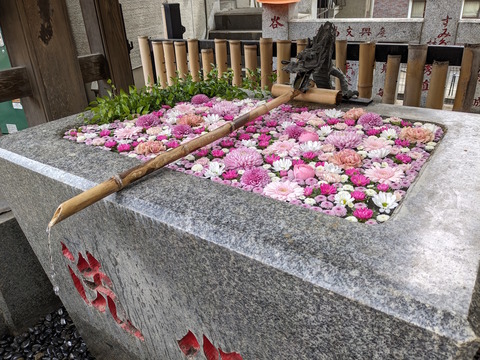 PXL_20240324_020529813