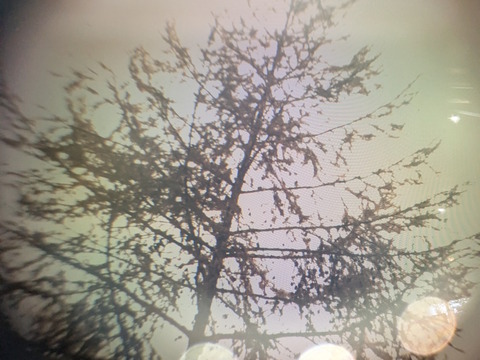 PXL_20251108_043333280