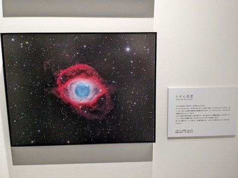 PXL_20230807_110255650