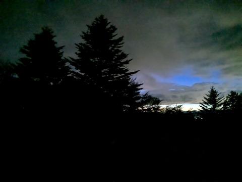 PXL_20250502_103154594.NIGHT