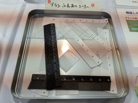 PXL_20251005_050511599