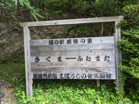 PXL_20240512_030807771