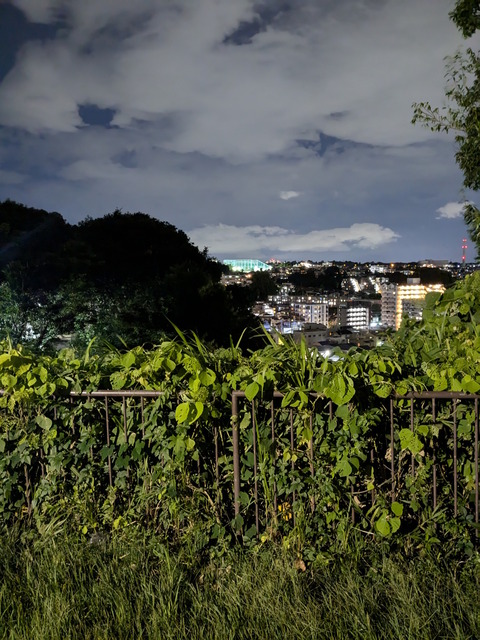 PXL_20241007_105837089.NIGHT