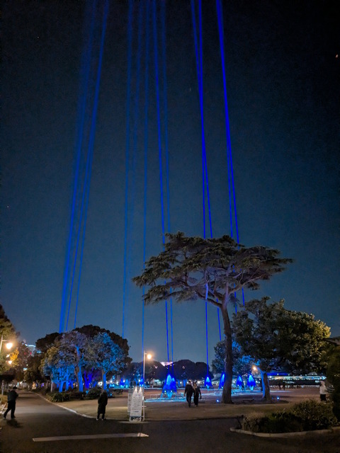 PXL_20251130_102316121