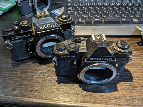 PXL_20240324_070401468