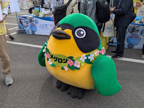 PXL_20251102_015750824