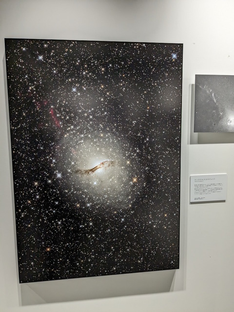 PXL_20230807_110803503