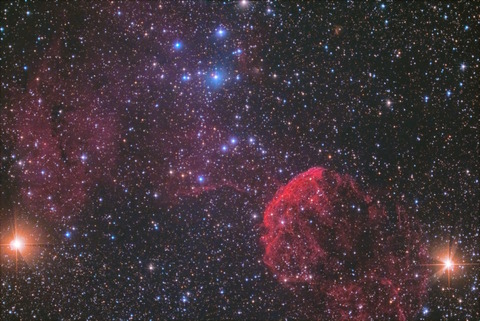 クラゲ-DeNoiseAI-standard3M