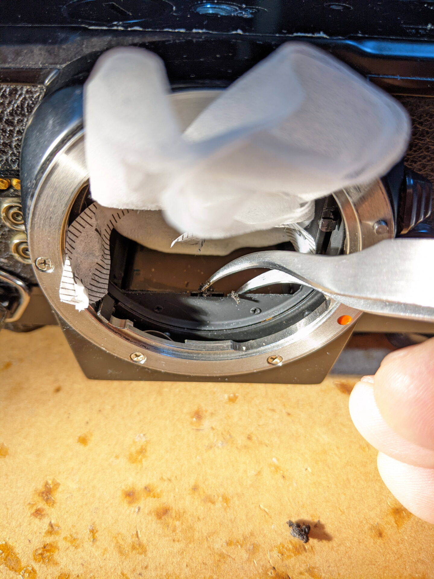 Pentax LXのモルトを交換する : ねこめしのよなよな工房ブログ