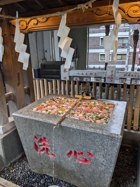 PXL_20241005_020455931