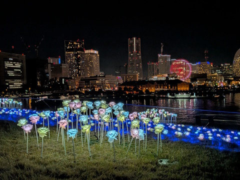 PXL_20251227_111242593.NIGHT