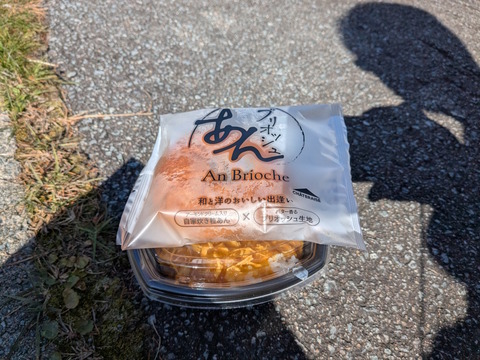 PXL_20251108_034324126