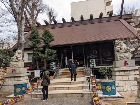 PXL_20240324_020440356