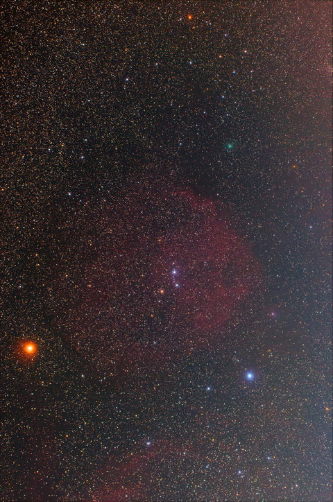 AngelFish2_filteredM