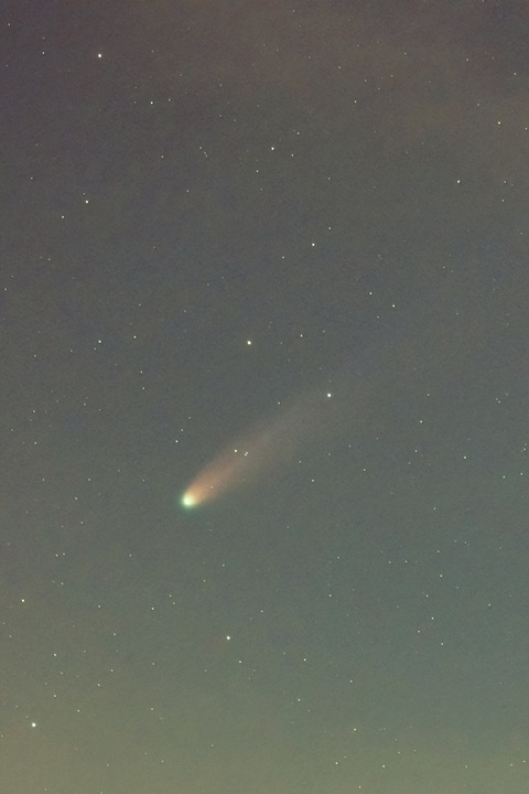 lemonUP-DeNoiseAI-standard