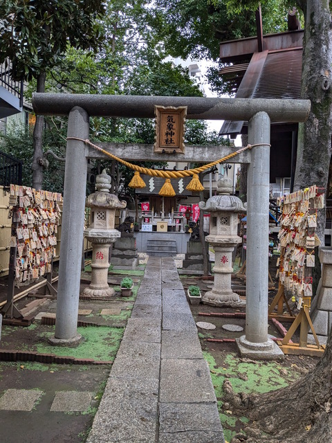 PXL_20241005_020619058