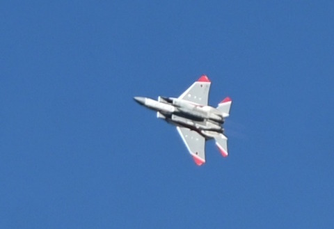 F15