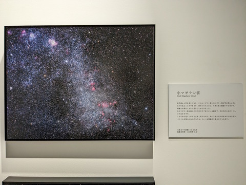 PXL_20230807_110240167