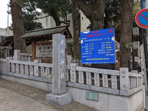 PXL_20240324_020426057