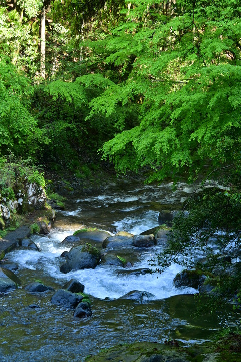 DSC_1896