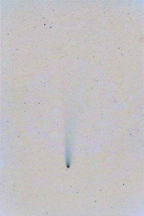 lemon-DeNoiseAI-clear_graxpert_bge2M-nega