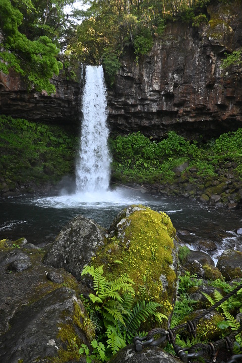 DSC_1854
