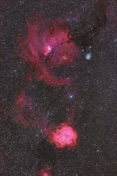 rose_graxpert_bge_separated_8x8-1-DeNoiseAI-severe-noiseM