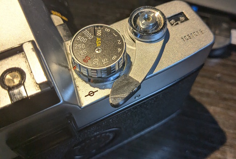 PXL_20241005_081719827