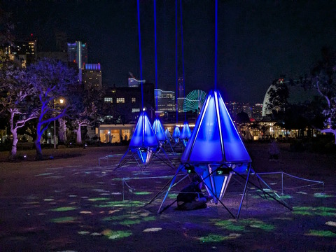 PXL_20251130_103106038.NIGHT