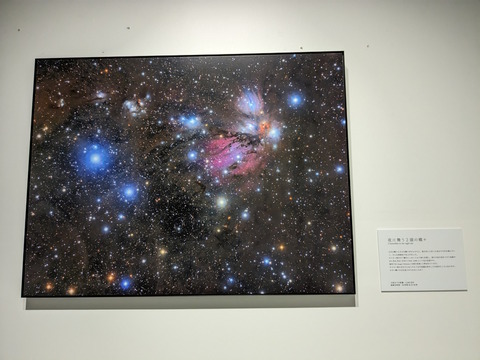 PXL_20230807_110552164